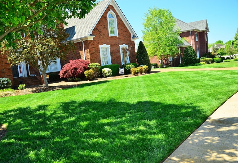 Customers can expect their yard to look its best.