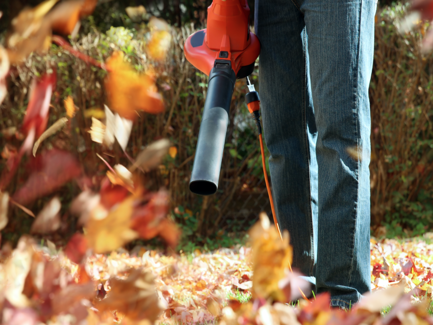 Leaf removal keeps your grass healthy and green.