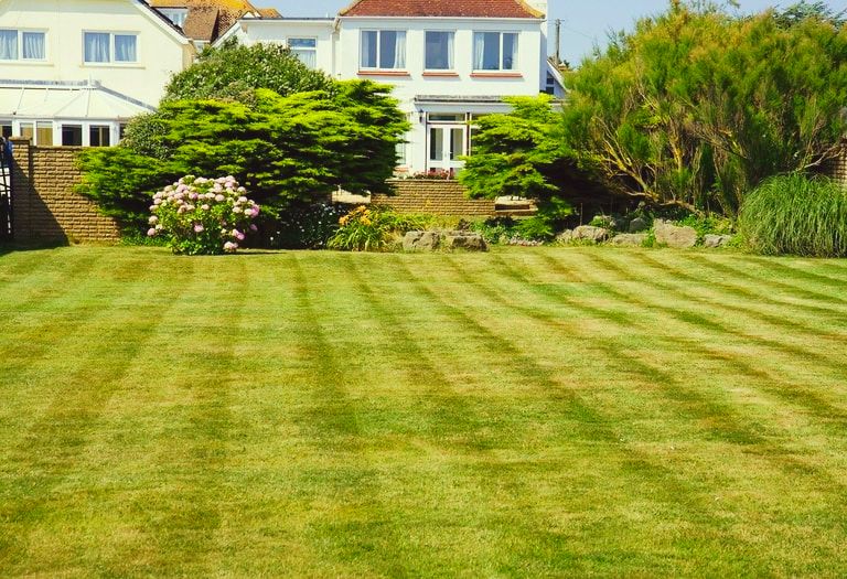 Straight Mowing lines are a classy look for the yard.